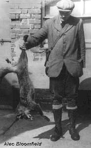 Courtesy Alec Bloomfield